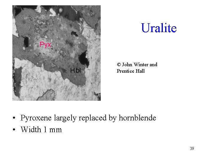 Uralite Pyx Hbl © John Winter and Prentice Hall • Pyroxene largely replaced by