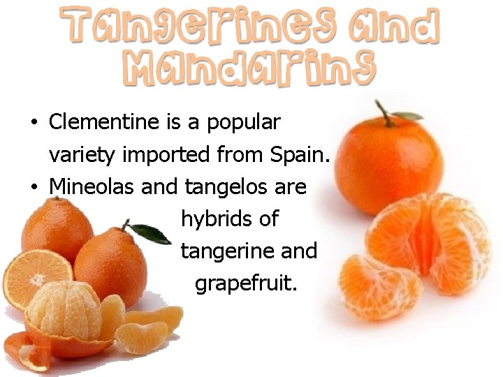  • Clementine is a popular variety imported from Spain. • Mineolas and tangelos