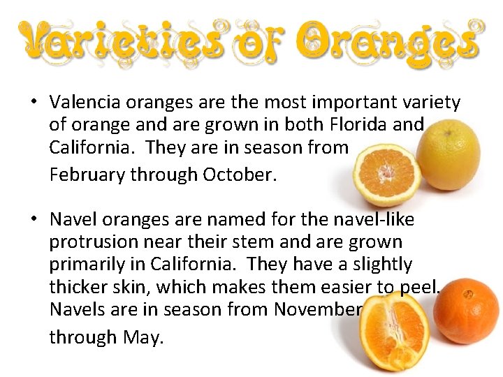  • Valencia oranges are the most important variety of orange and are grown