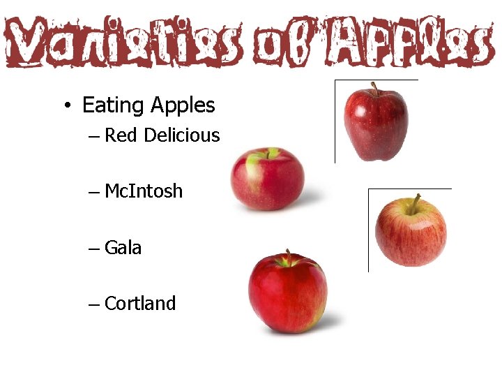  • Eating Apples – Red Delicious – Mc. Intosh – Gala – Cortland