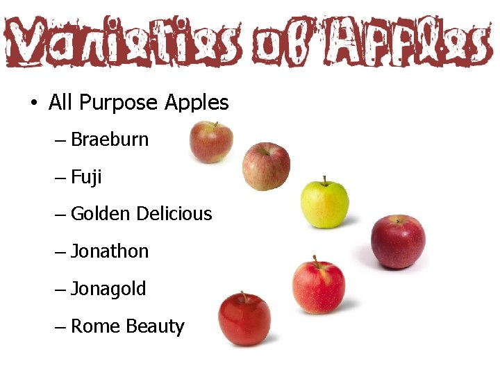  • All Purpose Apples – Braeburn – Fuji – Golden Delicious – Jonathon