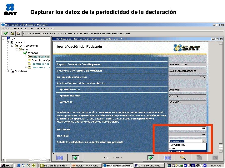 Capturar los datos de la periodicidad de la declaración 