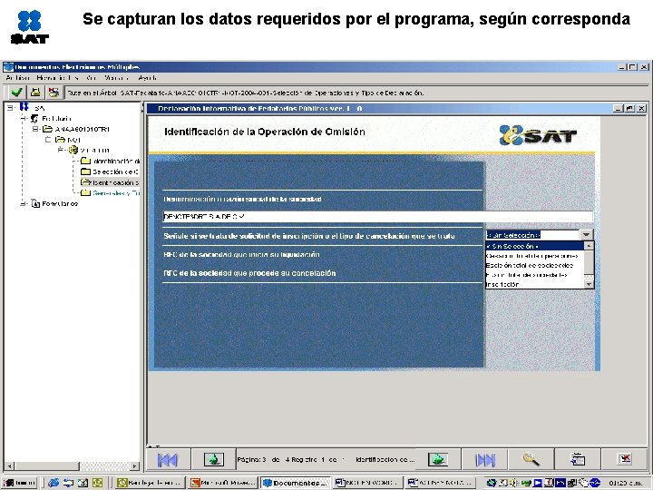 Se capturan los datos requeridos por el programa, según corresponda 