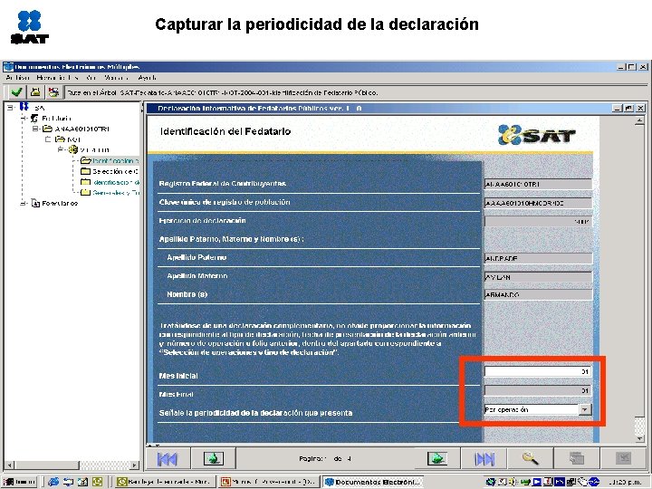 Capturar la periodicidad de la declaración 