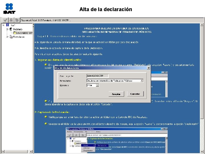 Alta de la declaración 