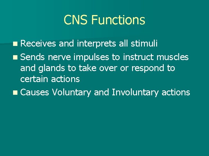 CNS Functions n Receives and interprets all stimuli n Sends nerve impulses to instruct