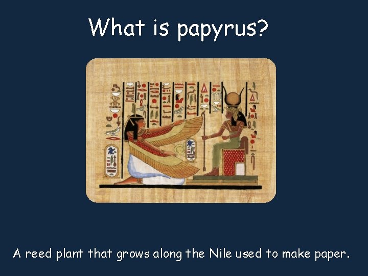 What is papyrus? A reed plant that grows along the Nile used to make