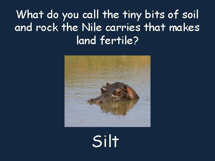 What do you call the tiny bits of soil and rock the Nile carries