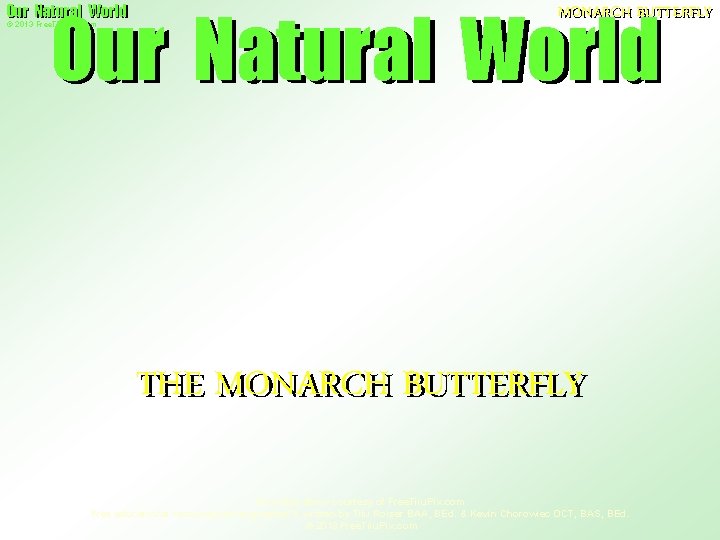 Our Natural World © 2013 Free. Tiiu. Pix. com MONARCH BUTTERFLY THE MONARCH BUTTERFLY