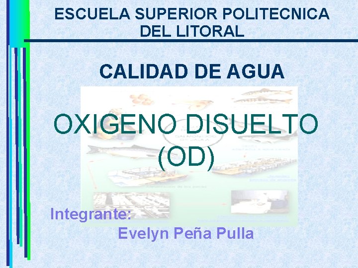 ESCUELA SUPERIOR POLITECNICA DEL LITORAL CALIDAD DE AGUA OXIGENO DISUELTO (OD) Integrante: Evelyn Peña