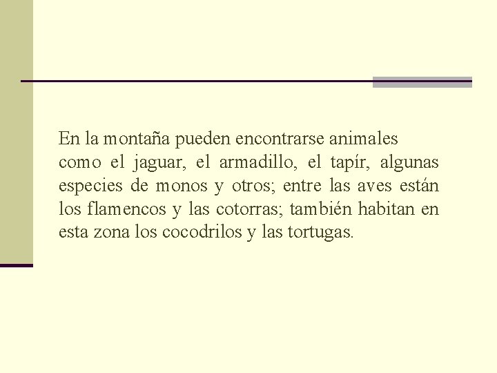 En la montaña pueden encontrarse animales como el jaguar, el armadillo, el tapír, algunas