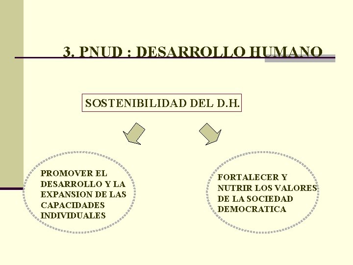 3. PNUD : DESARROLLO HUMANO SOSTENIBILIDAD DEL D. H. PROMOVER EL DESARROLLO Y LA