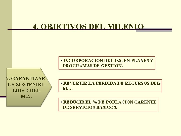 4. OBJETIVOS DEL MILENIO • INCORPORACION DEL D. S. EN PLANES Y PROGRAMAS DE