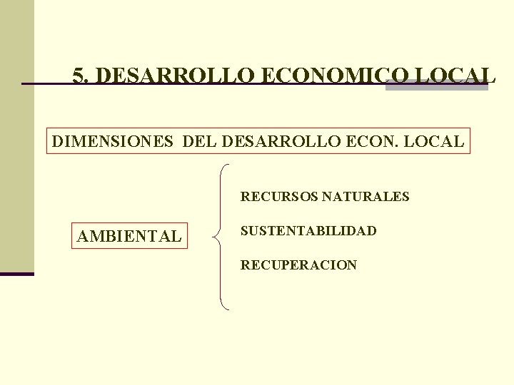 5. DESARROLLO ECONOMICO LOCAL DIMENSIONES DEL DESARROLLO ECON. LOCAL RECURSOS NATURALES AMBIENTAL SUSTENTABILIDAD RECUPERACION