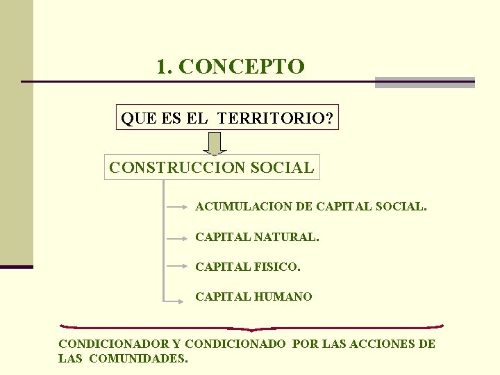 1. CONCEPTO QUE ES EL TERRITORIO? CONSTRUCCION SOCIAL ACUMULACION DE CAPITAL SOCIAL. CAPITAL NATURAL.