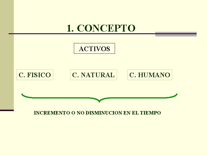 1. CONCEPTO ACTIVOS C. FISICO C. NATURAL C. HUMANO INCREMENTO O NO DISMINUCION EN