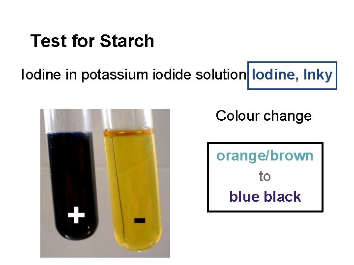 Test for Starch Iodine in potassium iodide solution Iodine, Inky Colour change orange/brown to