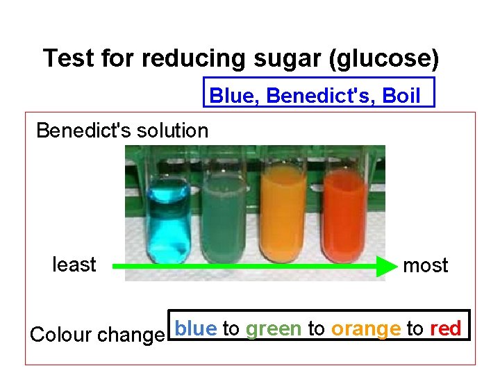 Test for reducing sugar (glucose) Blue, Benedict's, Boil Benedict's solution least most Colour change