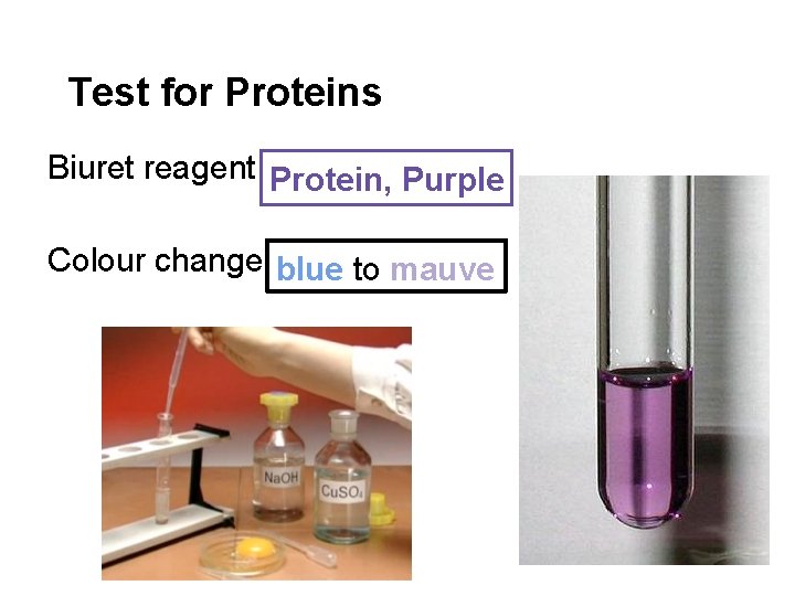 Test for Proteins Biuret reagent Protein, Purple Colour change blue to mauve 