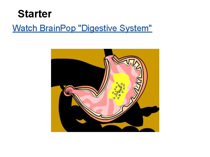 Starter Watch Brain. Pop "Digestive System" 