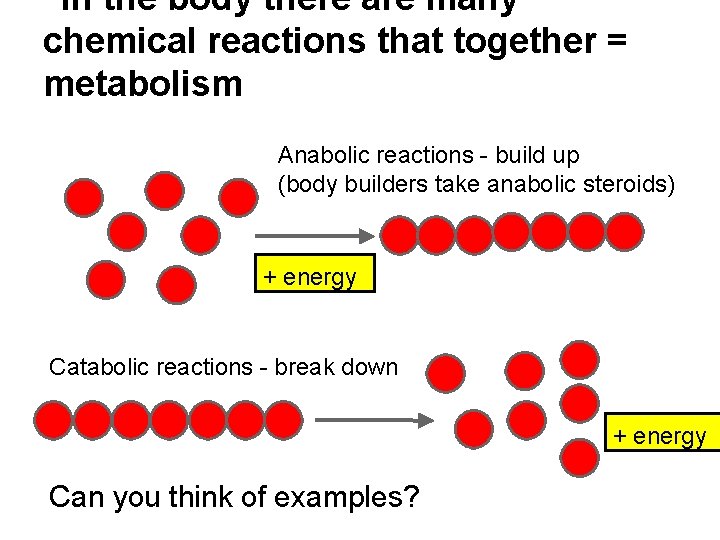 In the body there are many chemical reactions that together = metabolism Anabolic reactions