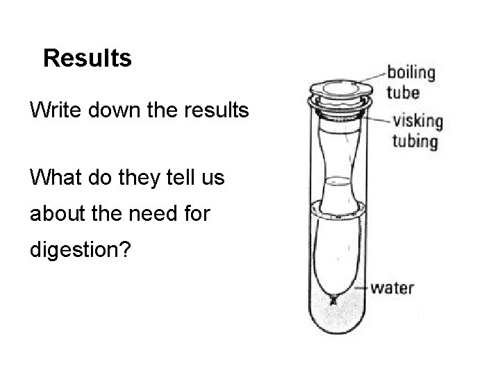 Results Write down the results What do they tell us about the need for