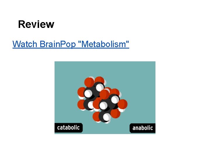 Review Watch Brain. Pop "Metabolism" 