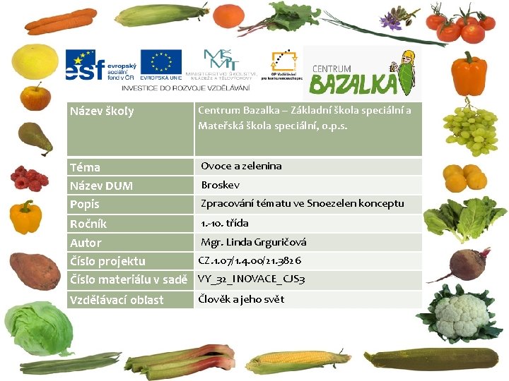 Název školy Centrum Bazalka – Základní škola speciální a Mateřská škola speciální, o. p.