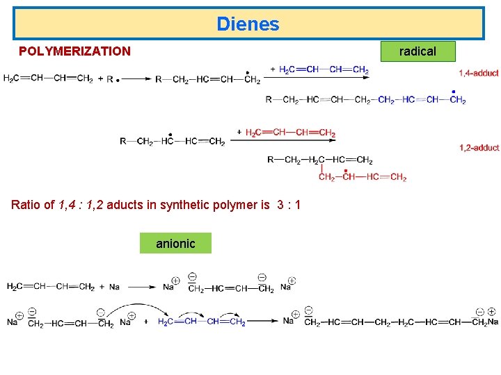 Dienes POLYMERIZATION radical Ratio of 1, 4 : 1, 2 aducts in synthetic polymer