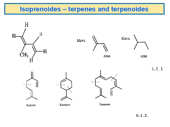 Isoprenoides – terpenes and terpenoides 