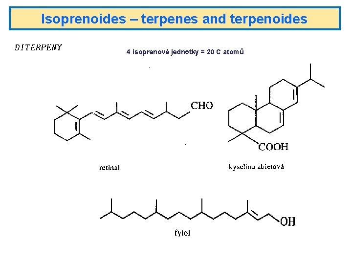 Isoprenoides – terpenes and terpenoides 4 isoprenové jednotky = 20 C atomů 