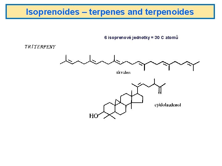 Isoprenoides – terpenes and terpenoides 6 isoprenové jednotky = 30 C atomů 