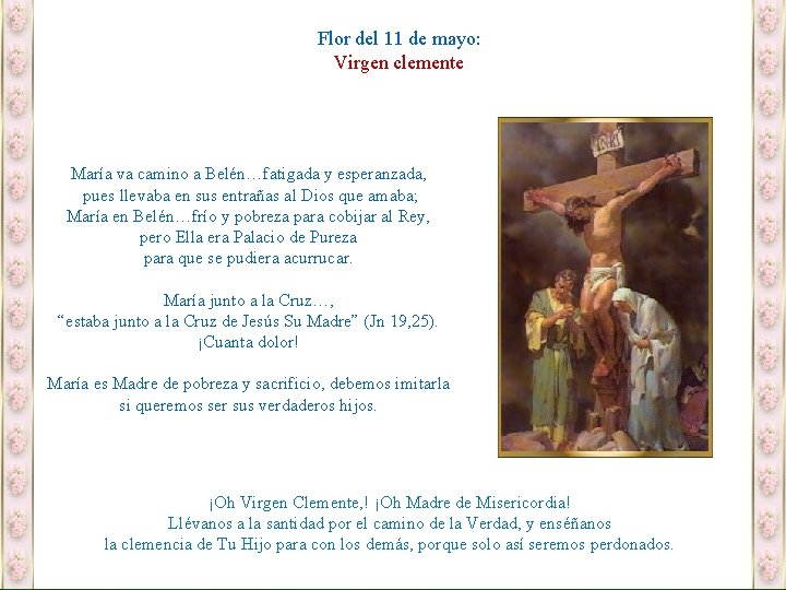 Flor del 11 de mayo: Virgen clemente María va camino a Belén…fatigada y esperanzada,