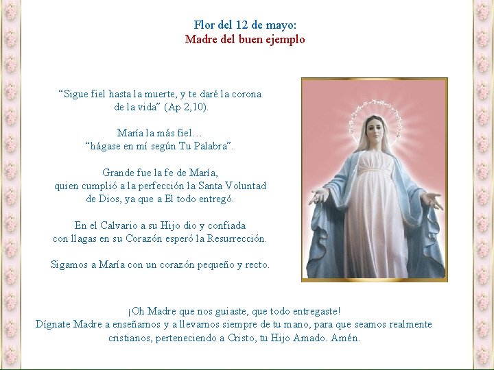 Flor del 12 de mayo: Madre del buen ejemplo “Sigue fiel hasta la muerte,