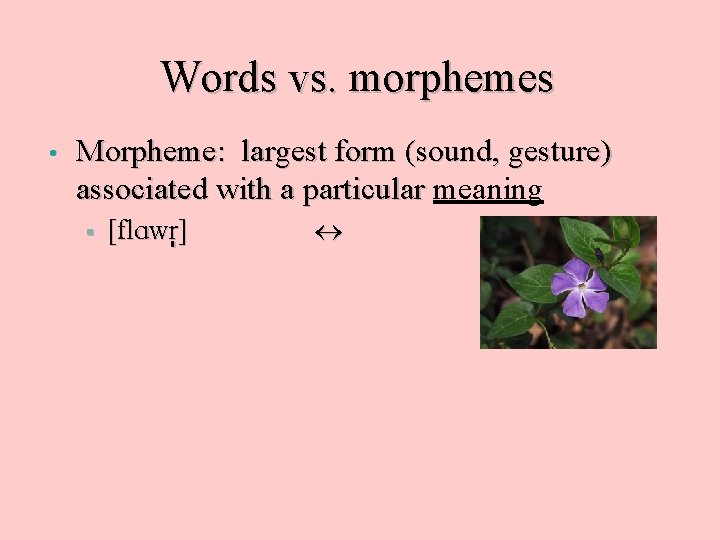 Words vs. morphemes • Morpheme: largest form (sound, gesture) associated with a particular meaning