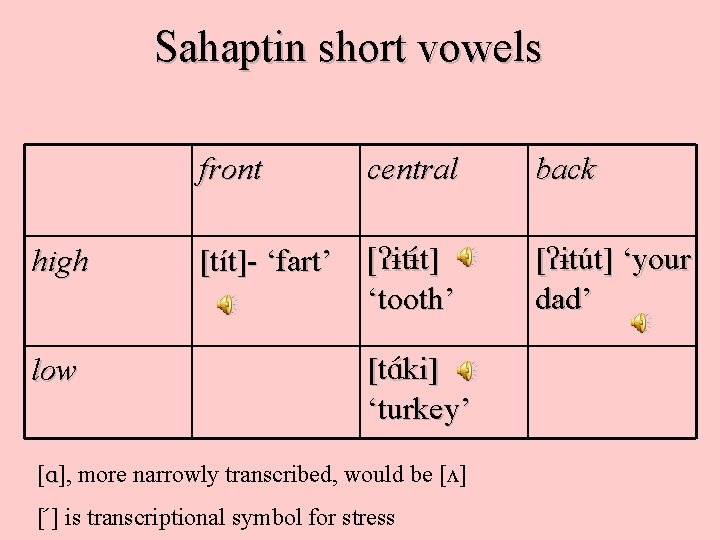Sahaptin short vowels high low front central back [tít]- ‘fart’ [ t t] t]