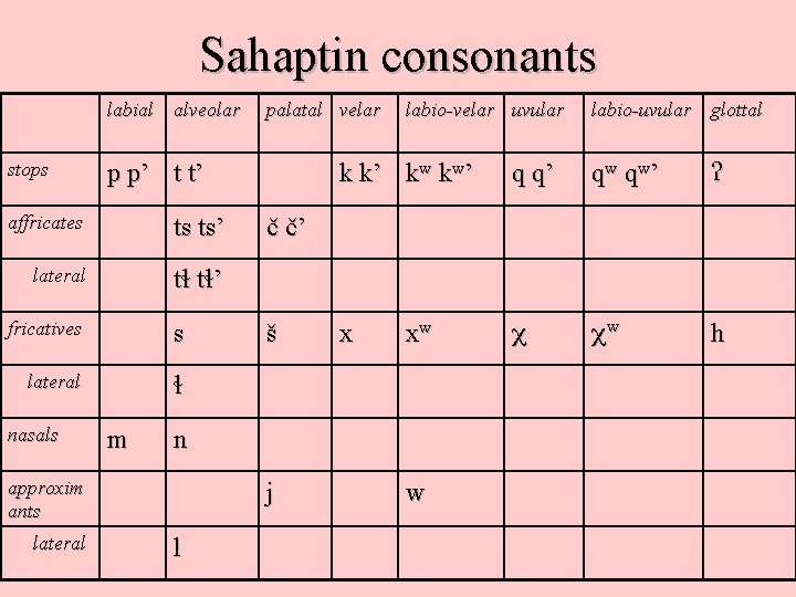 Sahaptin consonants labial alveolar stops p p’ t t’ affricates ts ts’ lateral t