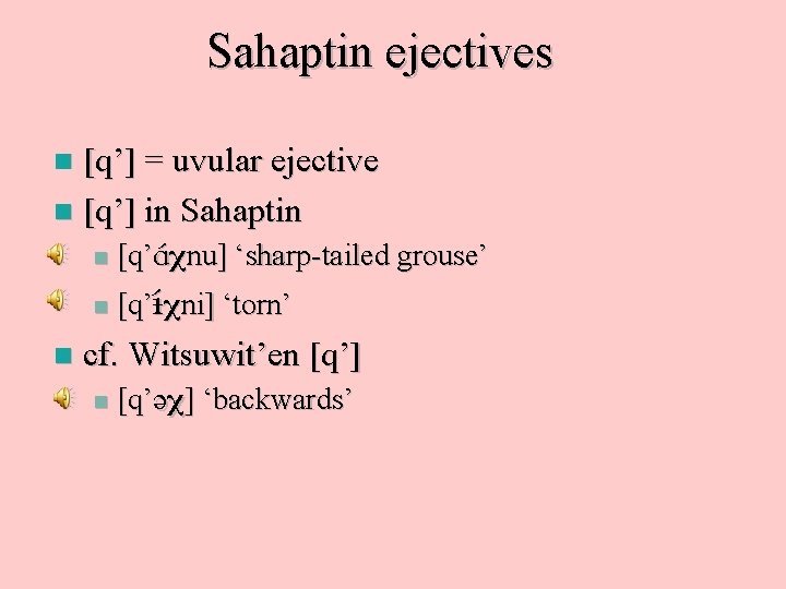 Sahaptin ejectives [q’] = uvular ejective n [q’] in Sahaptin n n [q’A nu]