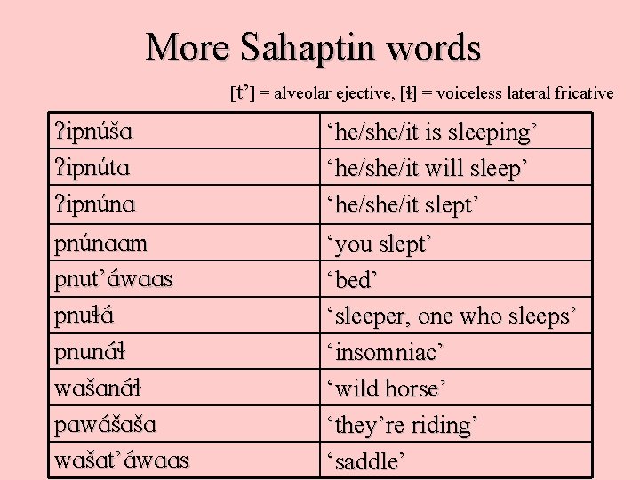 More Sahaptin words [t’] = alveolar ejective, [ ] = voiceless lateral fricative ipnúšA