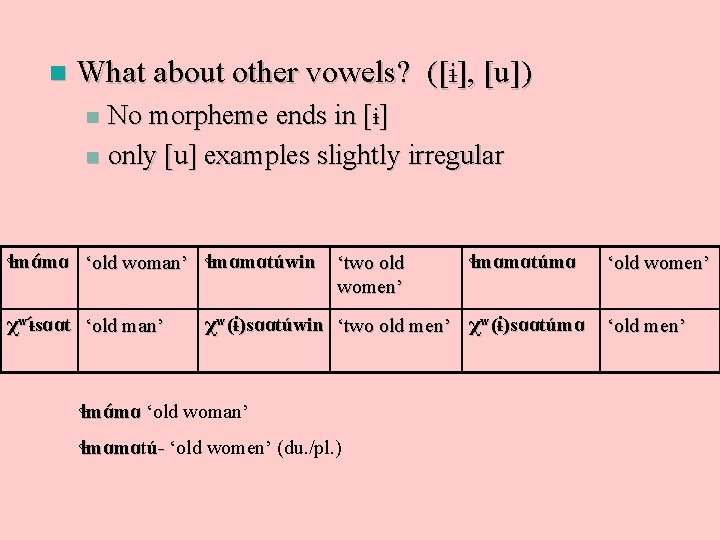 n What about other vowels? ([ ], [u]) No morpheme ends in [ ]