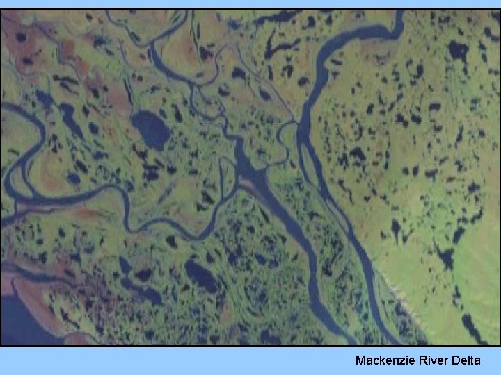 Mackenzie River Delta 