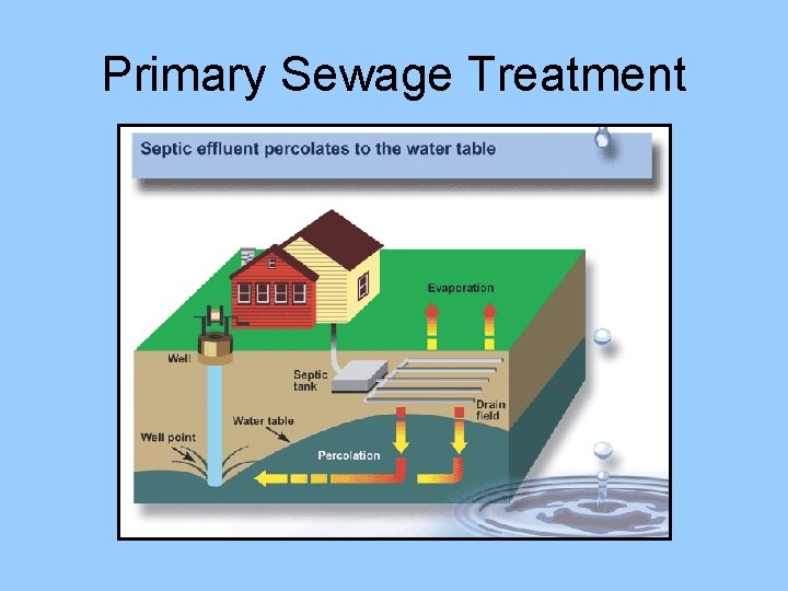 Primary Sewage Treatment 