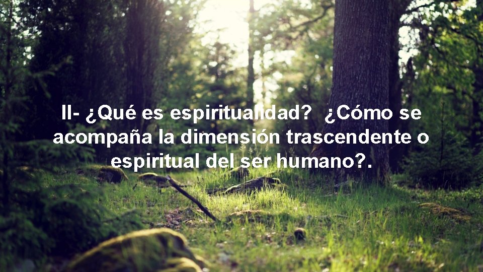 II- ¿Qué es espiritualidad? ¿Cómo se acompaña la dimensión trascendente o espiritual del ser II- ¿Qué es espiritualidad? ¿Cómo se acompaña la dimensión trascendente o espiritual del ser