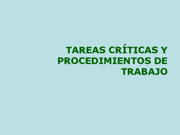 TAREAS CRÍTICAS Y PROCEDIMIENTOS DE TRABAJO 