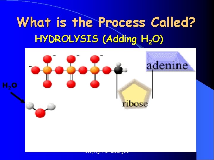 What is the Process Called? HYDROLYSIS (Adding H 2 O) H 2 O Copyright