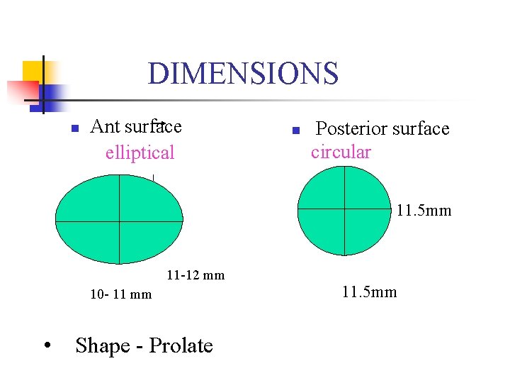 DIMENSIONS n Ant surface elliptical n Posterior surface circular 11. 5 mm 11 -12