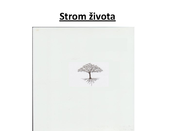 Strom života Strom života