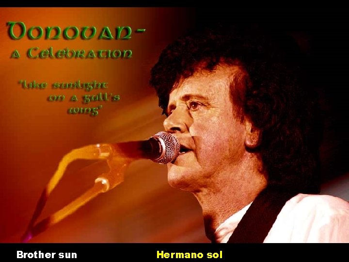 Brother sun Hermano sol 