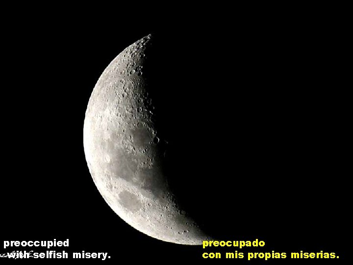 preoccupied with selfish misery. preocupado con mis propias miserias. 
