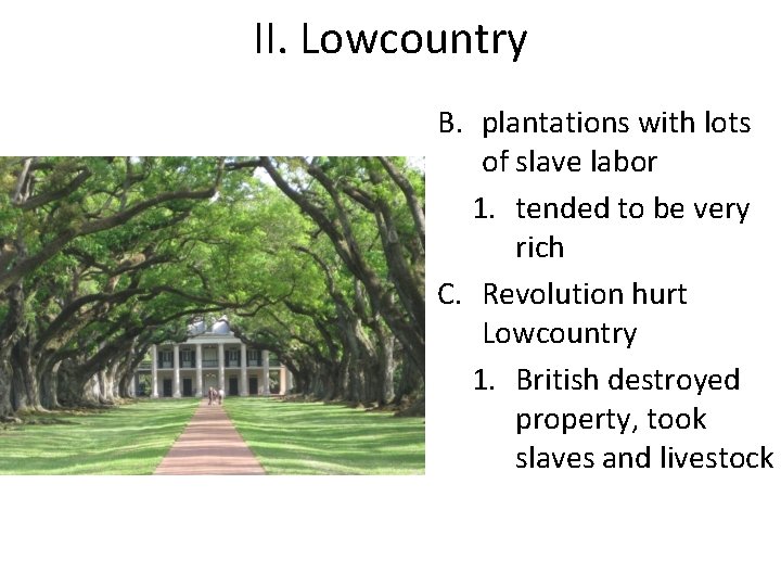 II. Lowcountry B. plantations with lots of slave labor 1. tended to be very